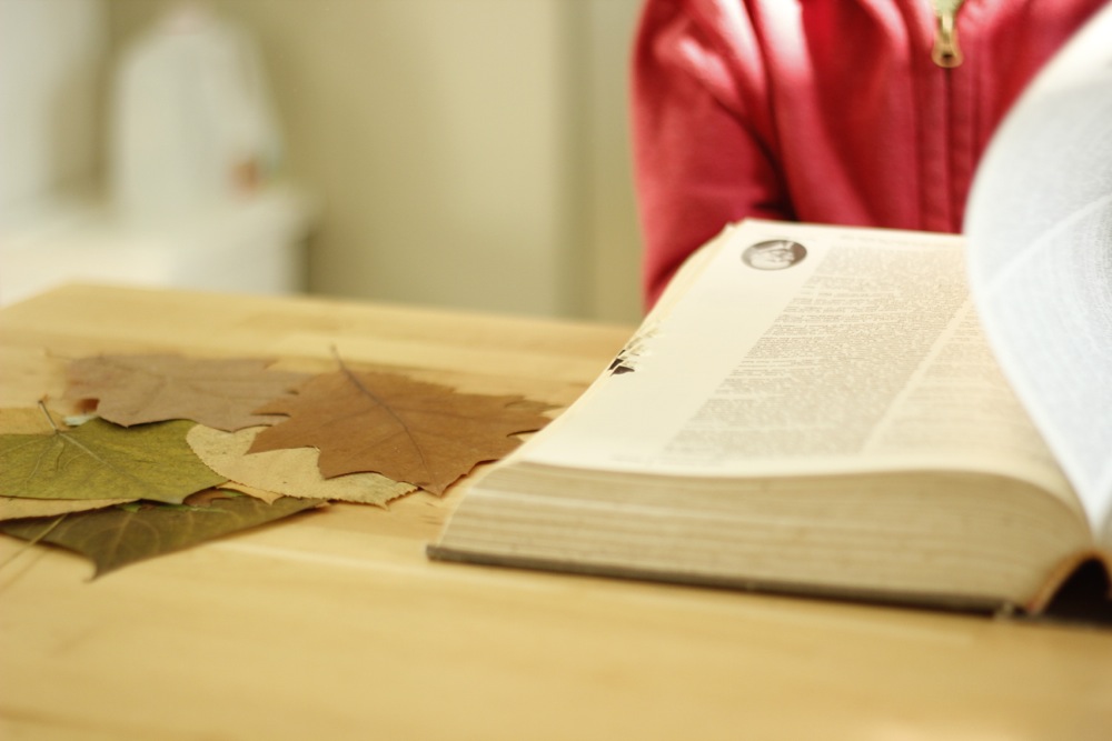 Sparkle-Stories-Preserving-Fall-Leaves