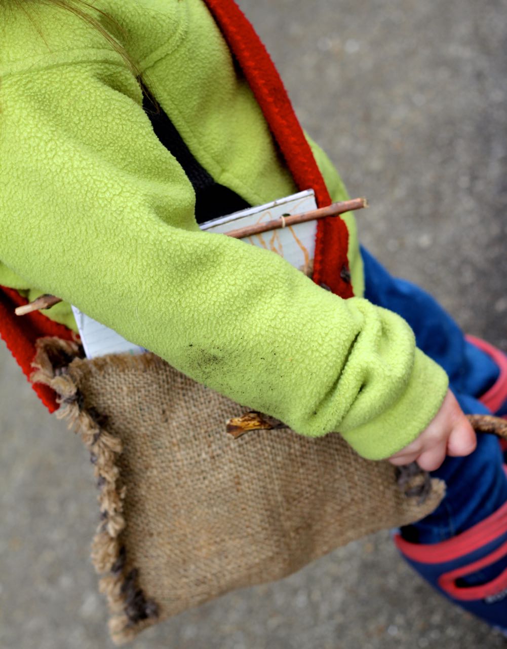 Springtime-Nature-Journal