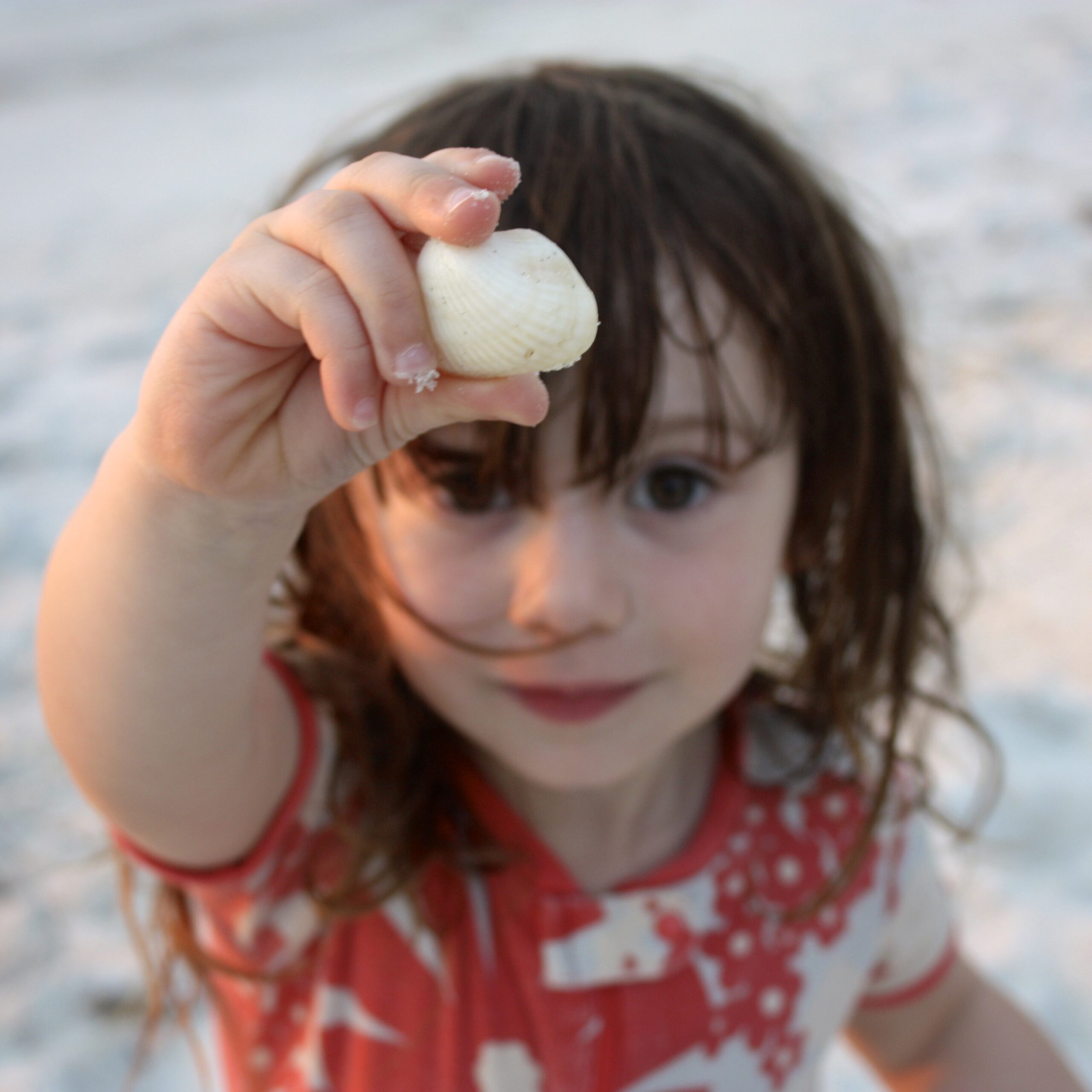 a-blank-seashell-ready-to-be-painted