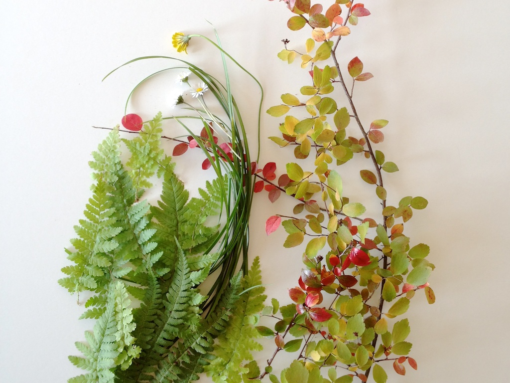 1 what you need from the garden copy