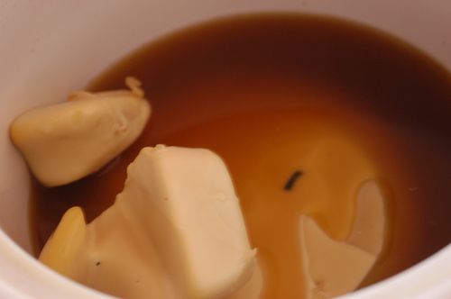 homemade firestarter 6  | www.sparklestories.com| martin & sylvia's nature school