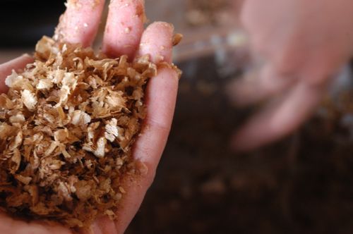 homemade firestarter 4 | www.sparklestories.com| martin & sylvia's nature school