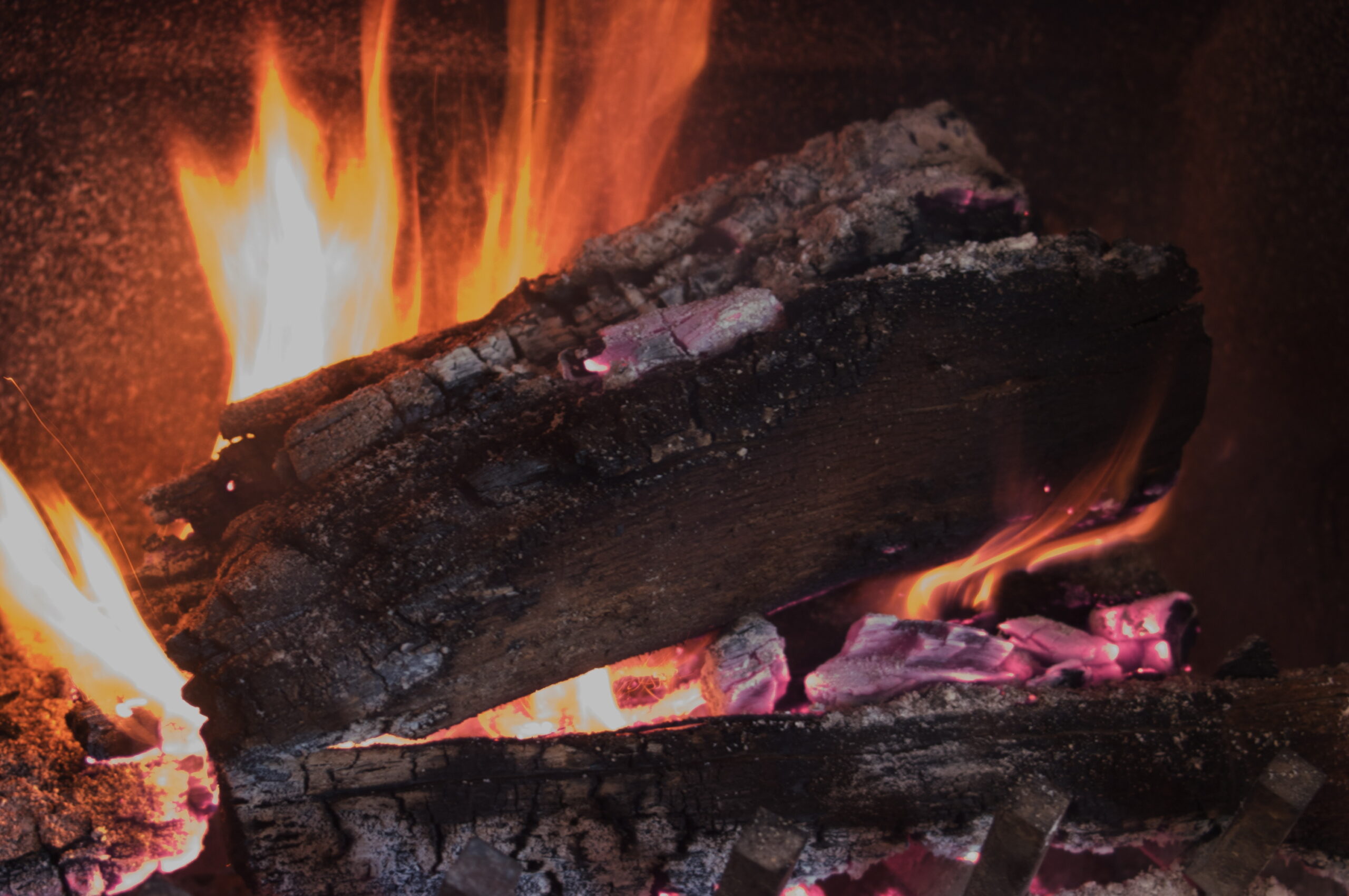 homemade firestarter 3  | www.sparklestories.com| martin & sylvia's nature school