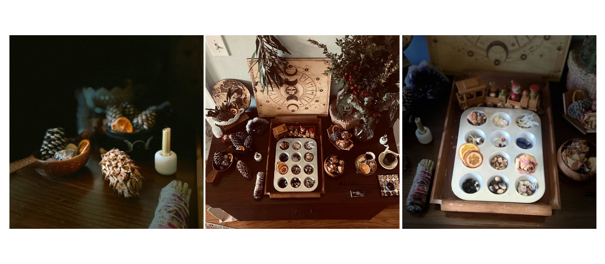 Blog-Winter Nature Scene in Florida-1200X525 (1)