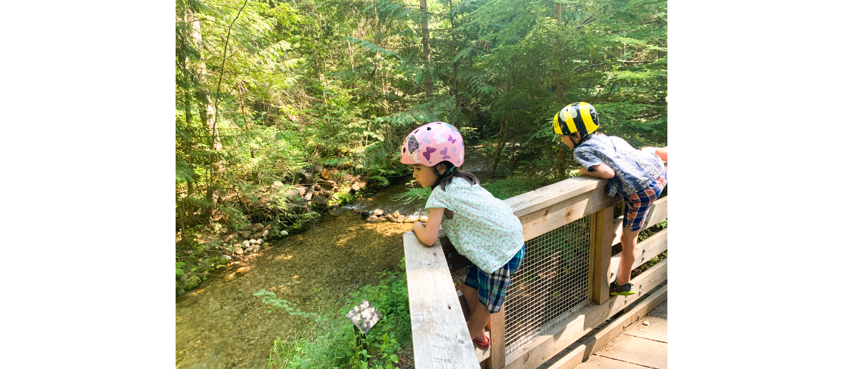 Unschooling: Maplerose - Nature 2022