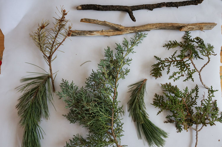 evergreen brushes kc 2