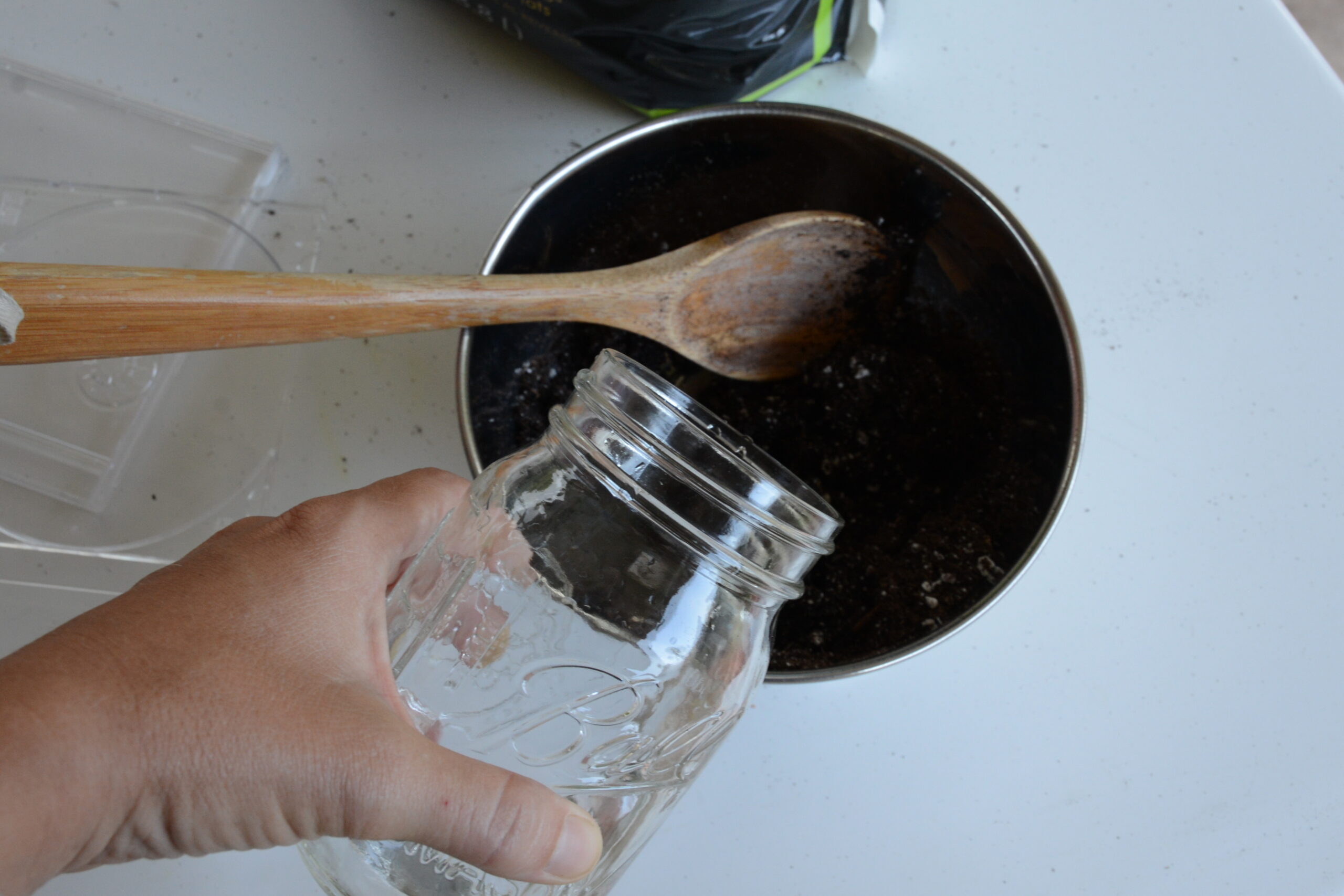 upcycled sprouting wings, worms 17