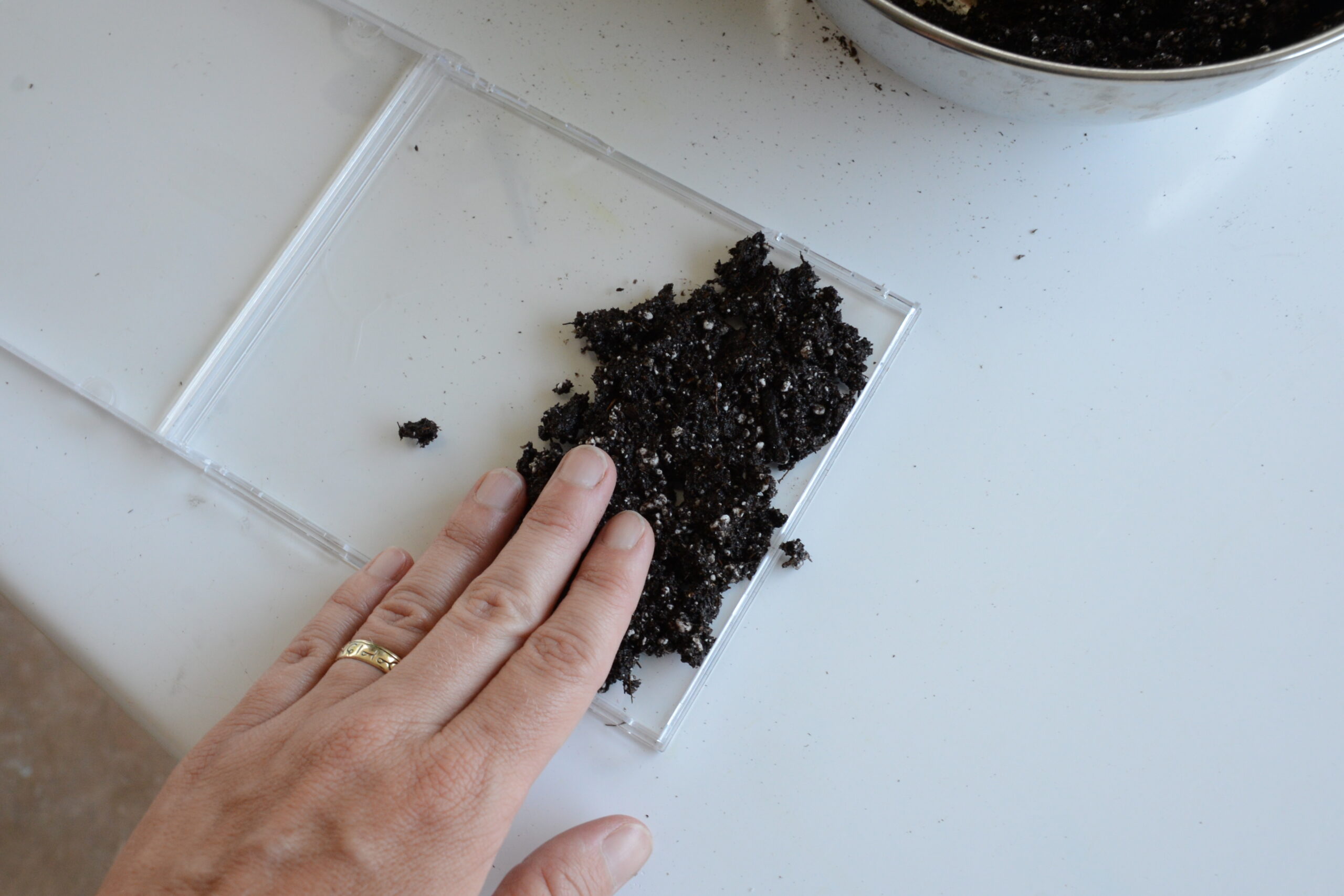 upcycled sprouting wings, worms 15