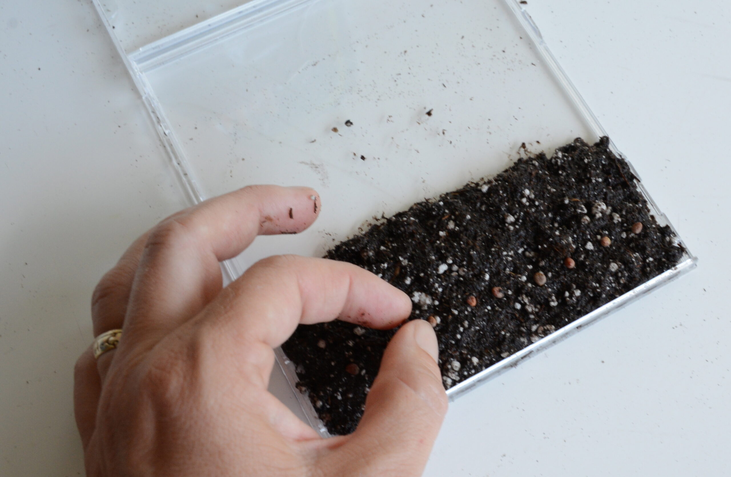 upcycled sprouting wings, worms 9