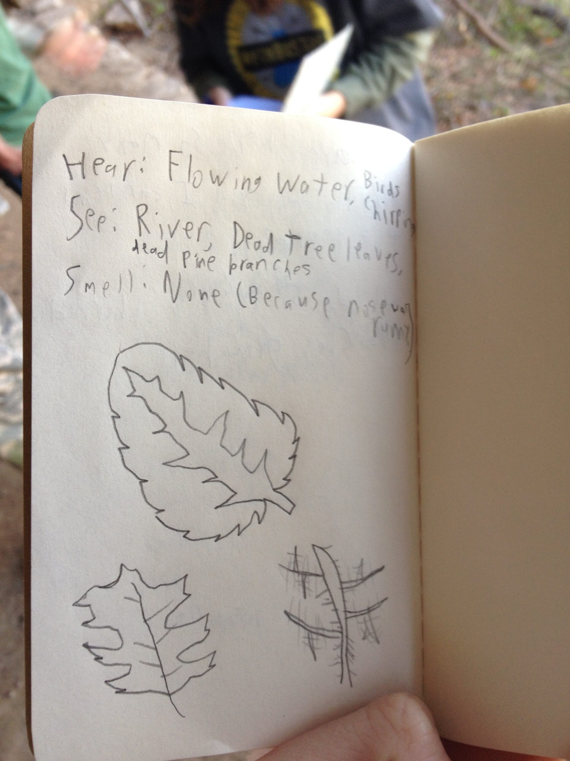 nature journal mike 1