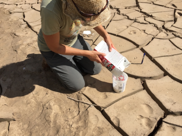 plaster casting 2 | www.sparklestories.com| martin & sylvia's nature school