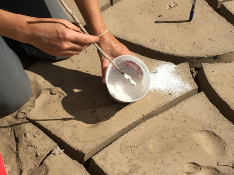 plaster casting 7 | www.sparklestories.com| martin & sylvia's nature school
