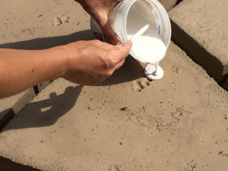 plaster casting 8 | www.sparklestories.com| martin & sylvia's nature school