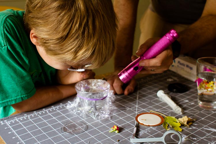 diy low-tech microscope 7 |www.sparklestories.com| martin & sylvia: more adventures! 