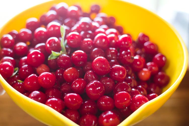 sour cherry tart 10 |www.sparklestories.com| junkyard tales: all together now