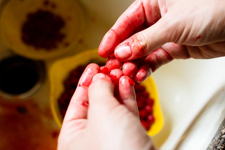 sour cherry tart 6 |www.sparklestories.com| junkyard tales: all together now