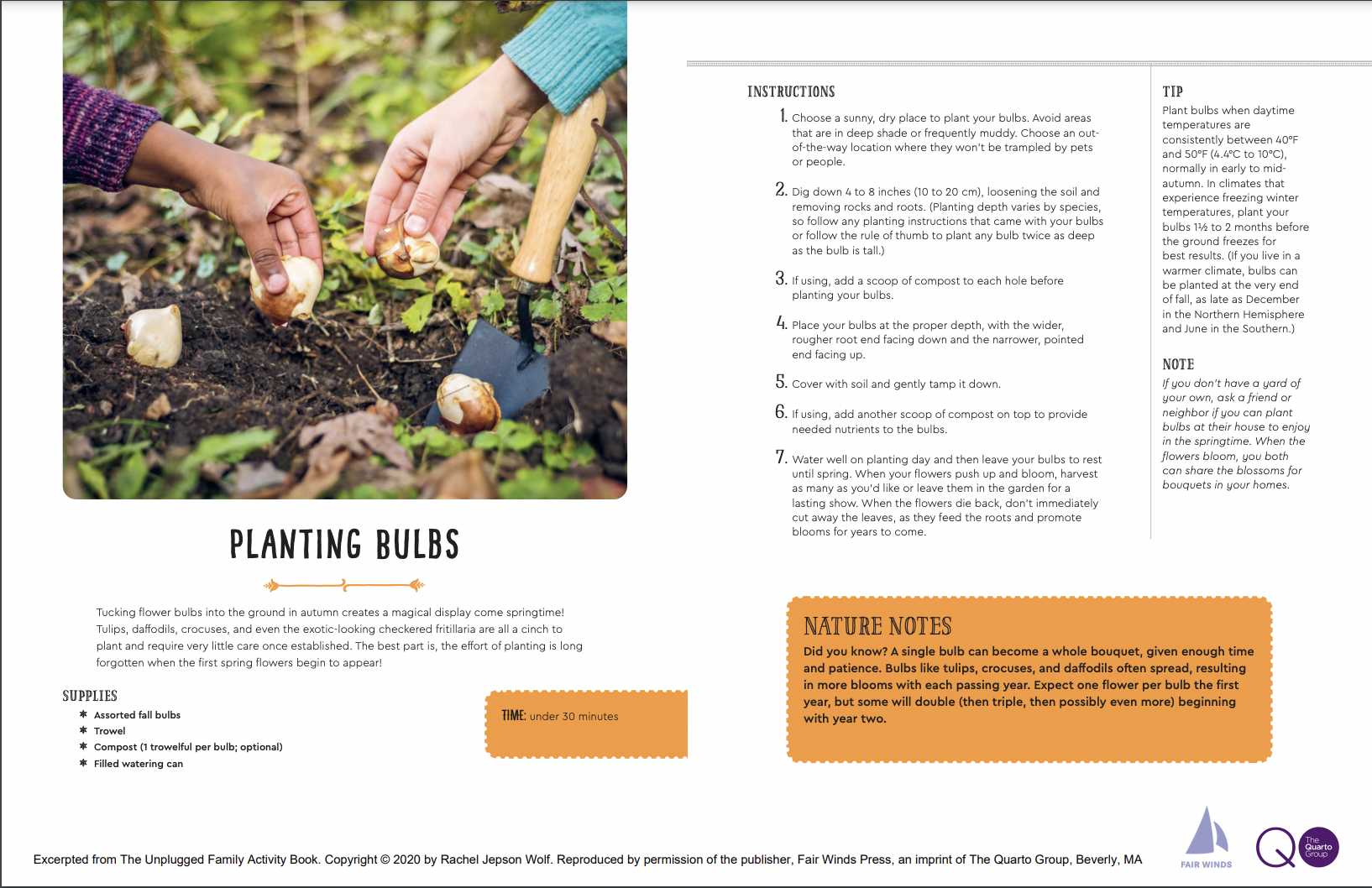 Bulb Planting for Kids Image
