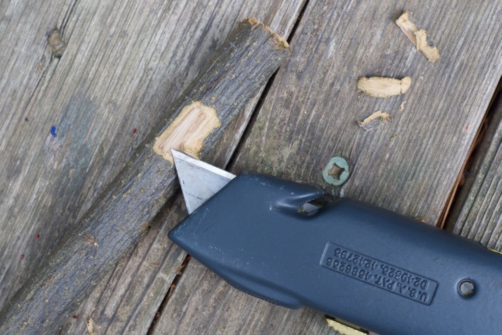 carving-stick-friend-9-1024x685