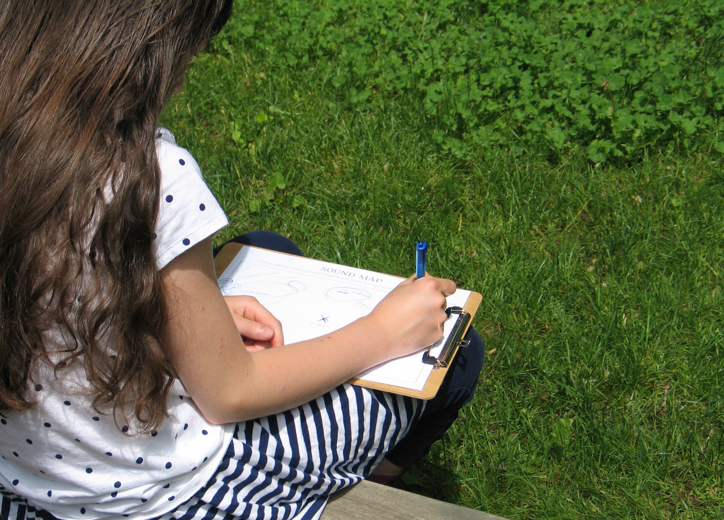 bird calls monique 1