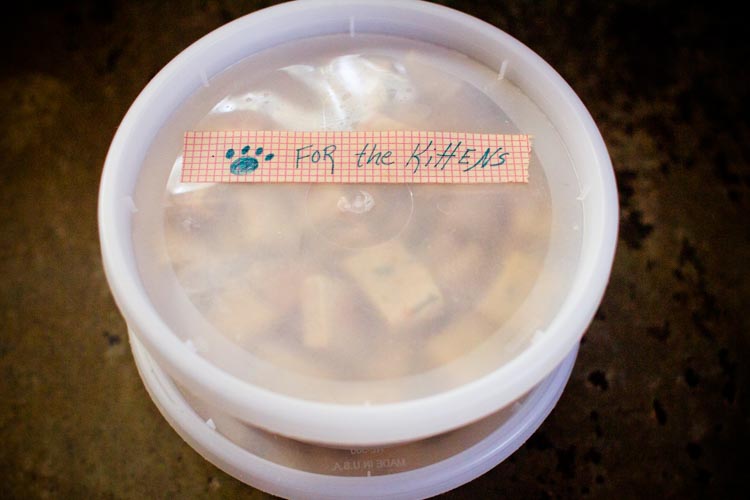 tuna fish kitty cookies 2 |www.sparklestories.com| martin & sylvia 