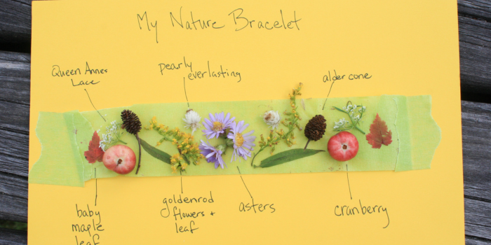 Nature Bracelet