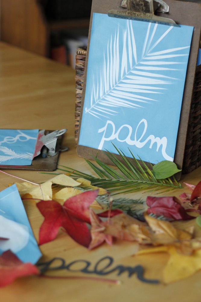 Sparkle Stories - Leaf Sun Prints