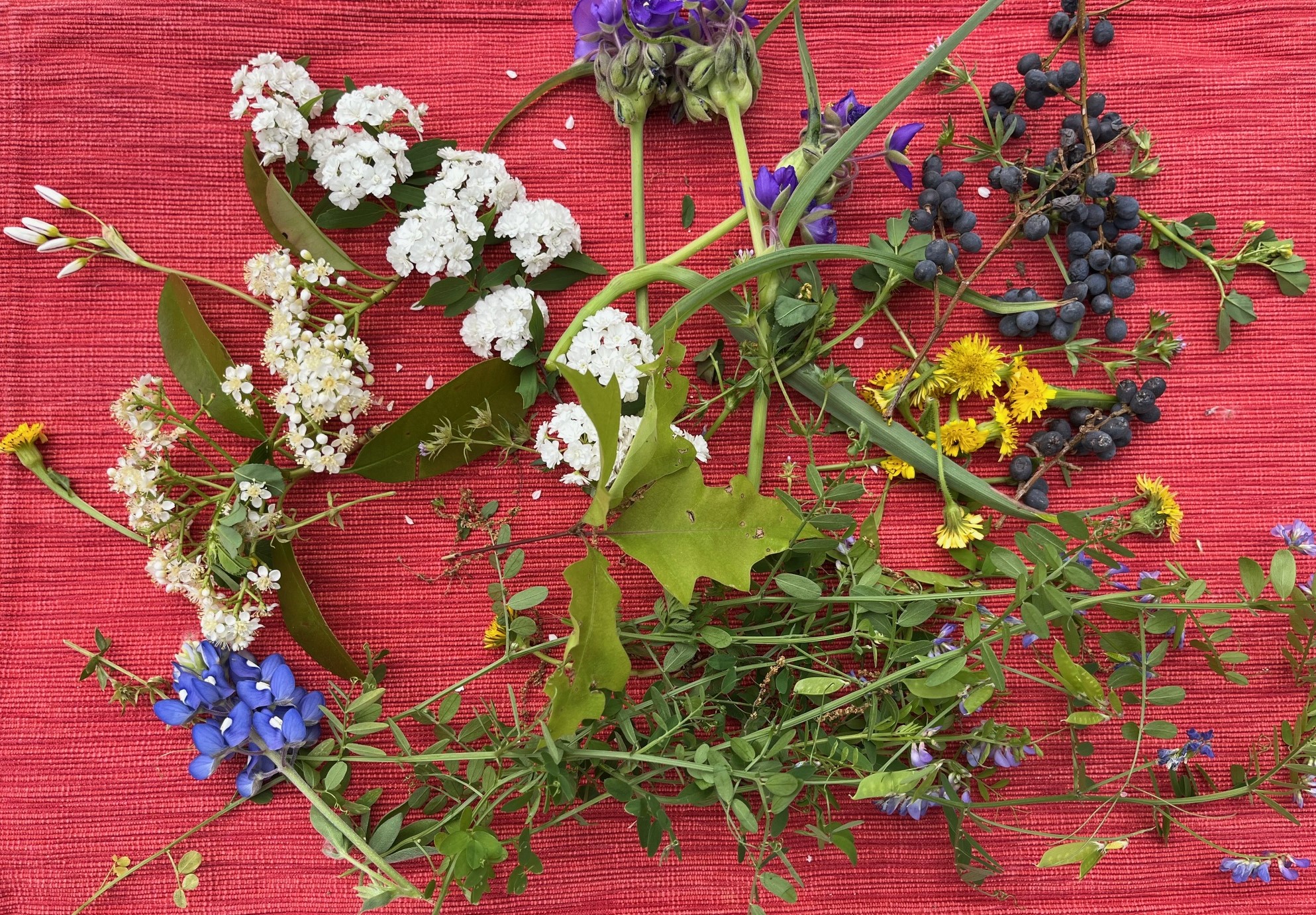 Fairy Face materials