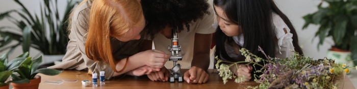 6. Home Science Tools