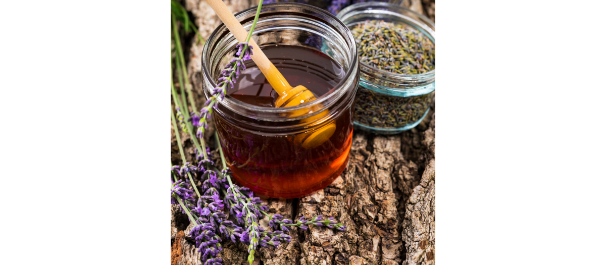 Blog- Lavender Infused honey- 1200 X 525